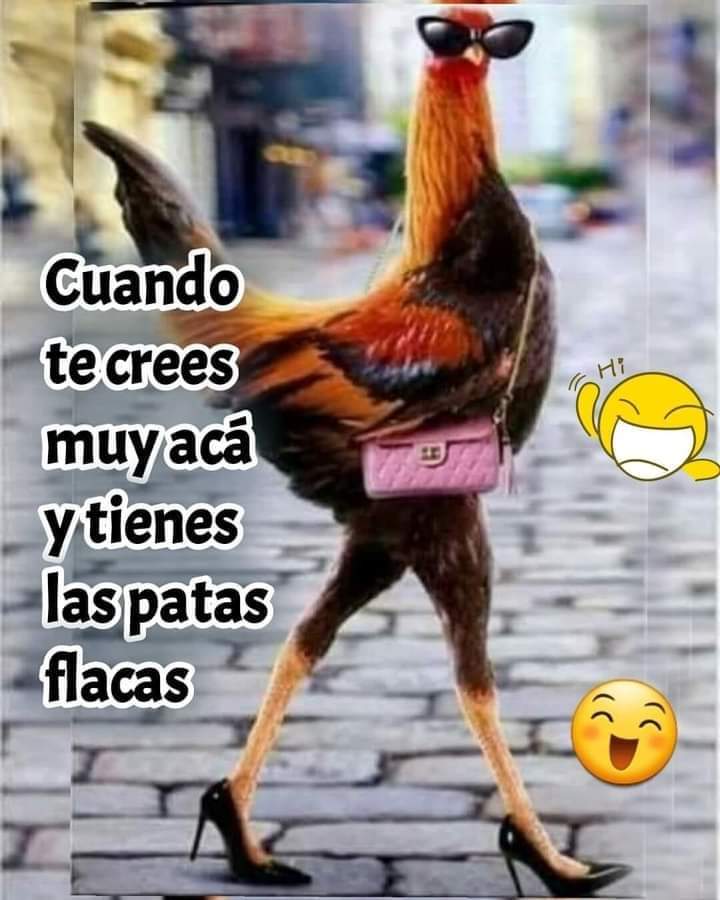 ramboni's tweet photo. Es mejor ser así https://t.co/cSJSQRLdrt