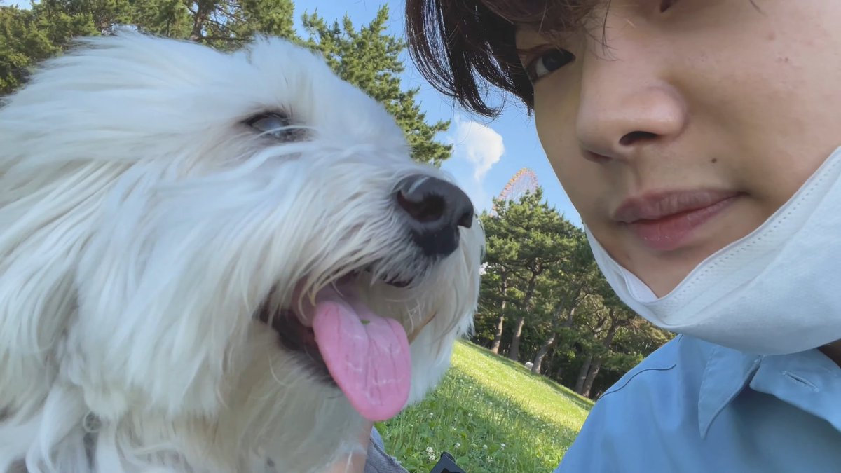 onlynoana's tweet photo. THE CUTEST DUO EVER 🥺
#NOALOG #NOA #noana @noamusic_japan https://t.co/lK4rpkvNPA