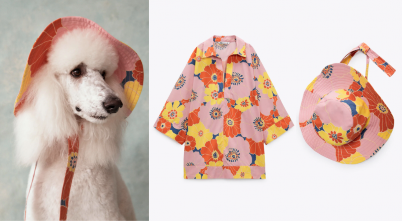 perrSONs's tweet photo. #ModaPerrSons | @zaraes y su apuesta por el twinning con tu #Perro. 
Descubre más aquí: https://t.co/EkyAeRdLjL 🕶️🧢🐩
#ModaDúo de #PerrosYDueños https://t.co/TEgWMysOHr