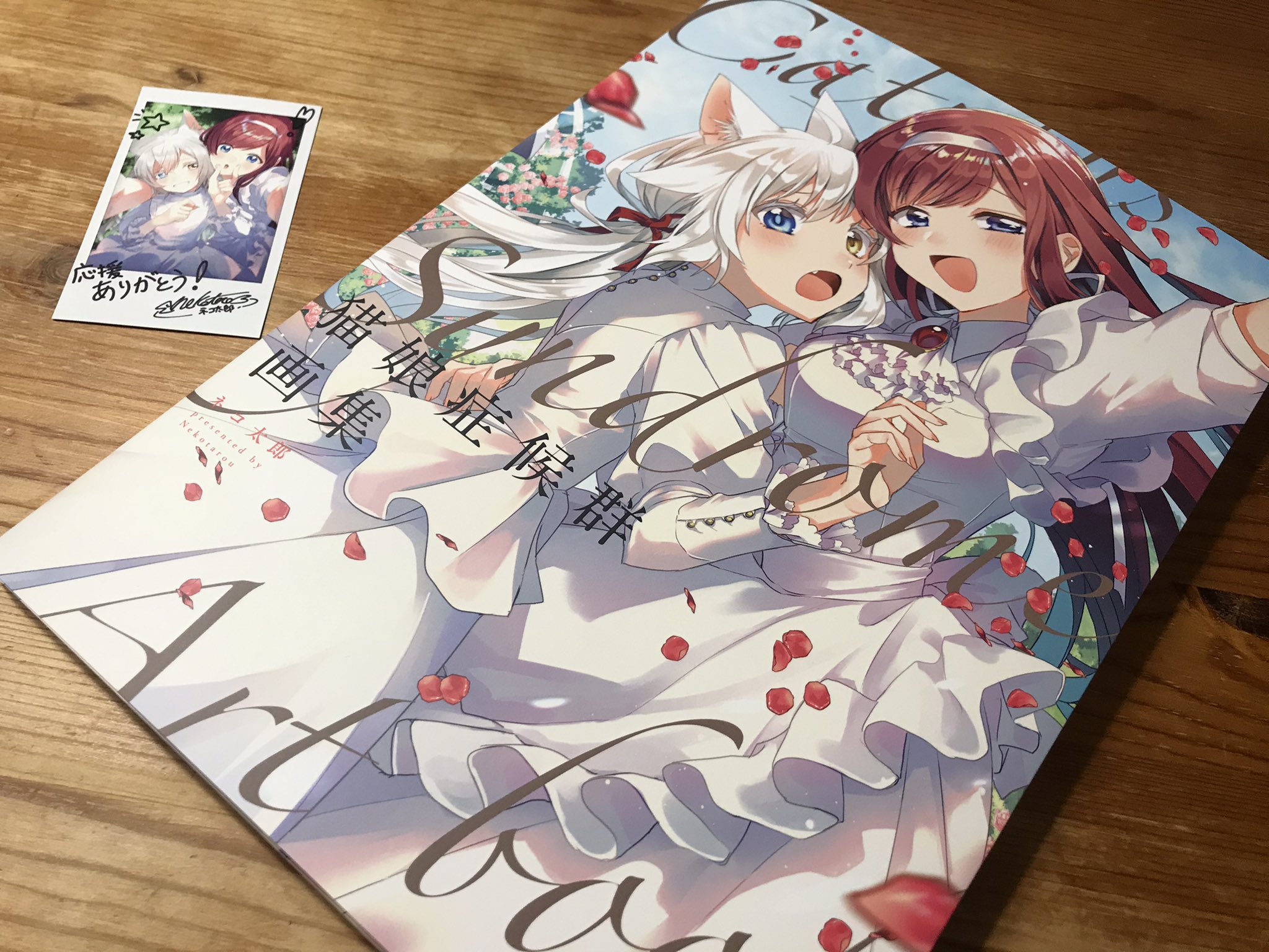 最新入荷 猫娘症候群 画集 ネコ太郎 サイン入り Rikyu Home Com