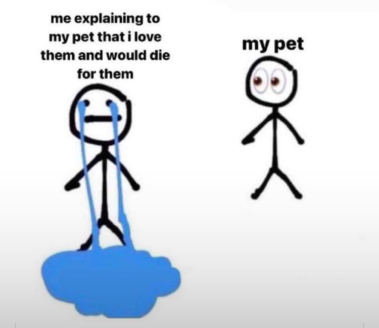 He couldn’t care less 😭