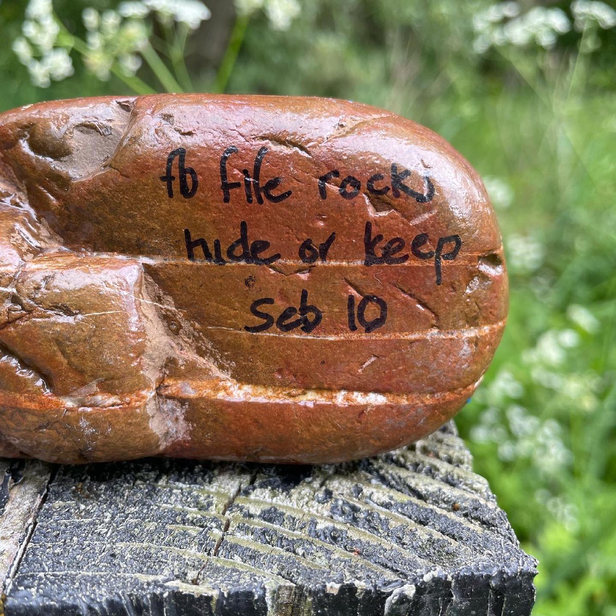 I still love finding these around the park. #muiravonsidecountrypark #countrysideranger #falkirkrocks #fiferocks #hideandseek #countrypark