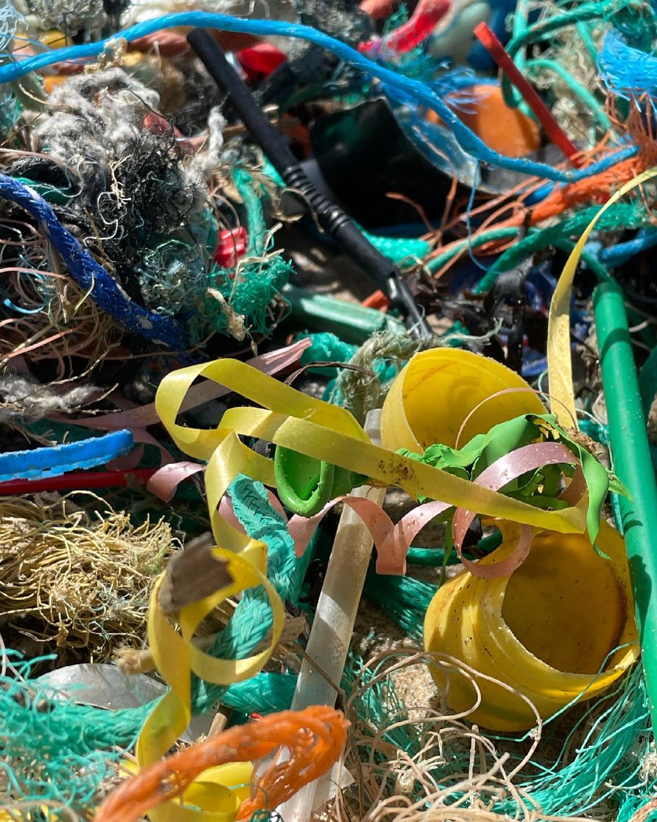 Oh what a tangled mess we weave. 😔
#2minutebeachclean #unitedagainstlitter #seaspiracy #fishingwaste #oceanlitter #beachclean #litter