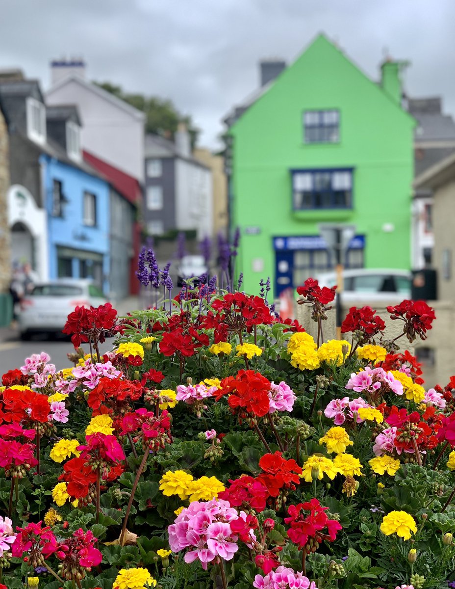 @poloconghaile tweet media