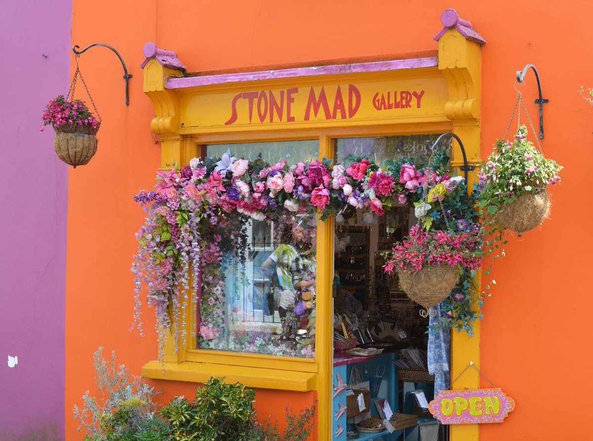 @poloconghaile tweet media