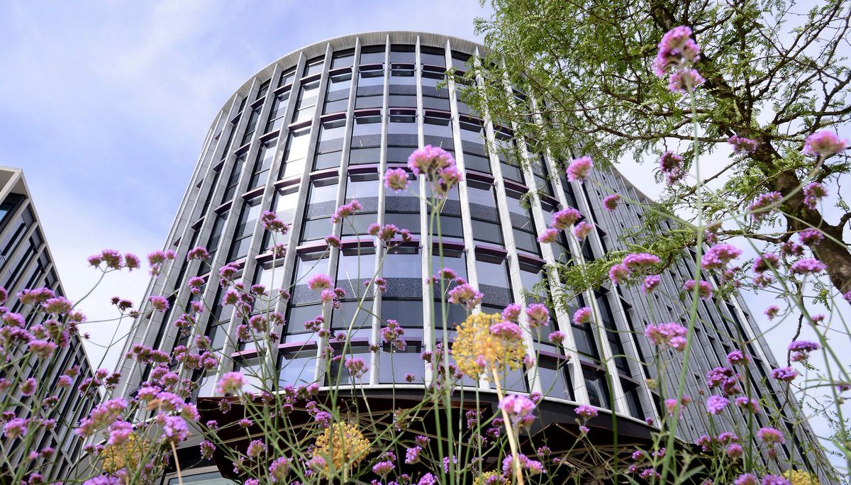 Paradise Birmingham tweet media