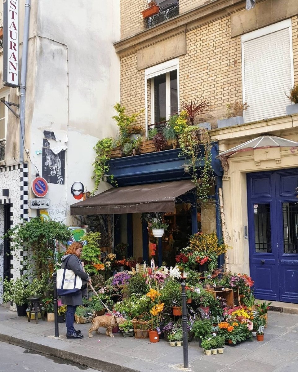 hipparisblog's tweet photo. In Paris it's all about the flowers... and the dogs.

📸:hifromalix

#hipparis #parisdogs #dogsofparis #parislove #flowerlove #weekendiscoming https://t.co/h4trHe9C6j