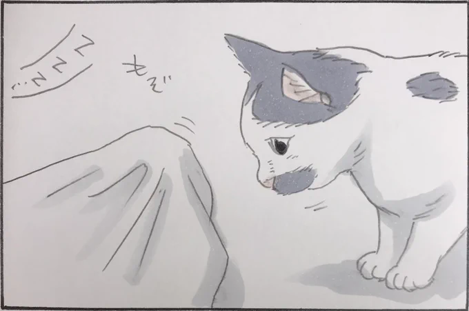 『ヒット‼︎』 
