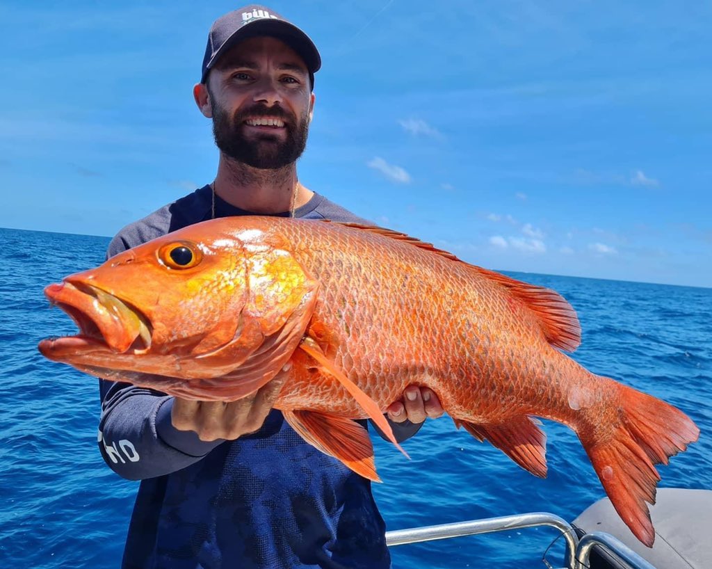 RobPaxevanos's tweet photo. Got to head out with #ReefRunnerCharters in @CairnsGBR. They are part of #TourismAustralias #GreatFishingAdventureOfAustraliaProgram they ticked all the boxes : #GreatFishing, #FirstClassService, #IncredibleDestination
@Australia
@Queensland
#HolidayHereThisYear https://t.co/4aRGgLycVi