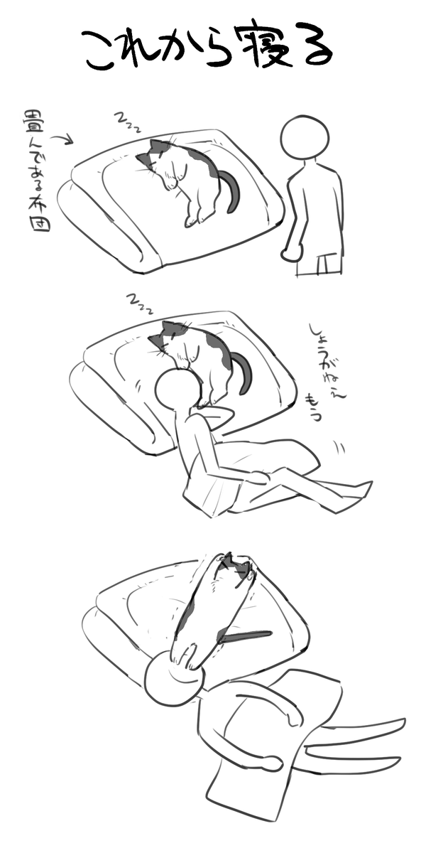 これは最近の猫(大)との生活 