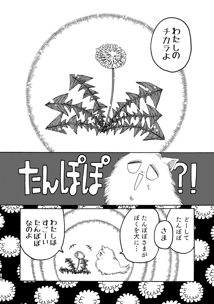 (5/6) 