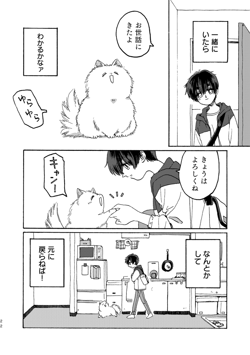 (6/6)つづく! 