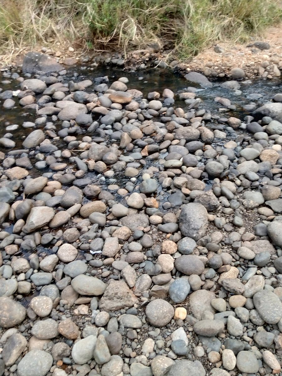 alaminkimathi's tweet photo. Sad that my river is this dry. Praying that #GodsRock does it's magic and releases some reprieve as it occasionally does while the heavens withhold the rains. But blame #Utuless humans upstream abstracting the little there is for their weed plantations and other farms above here. https://t.co/Pd5Sodh6az