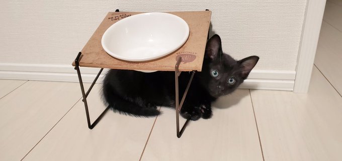 入り込むの好き 