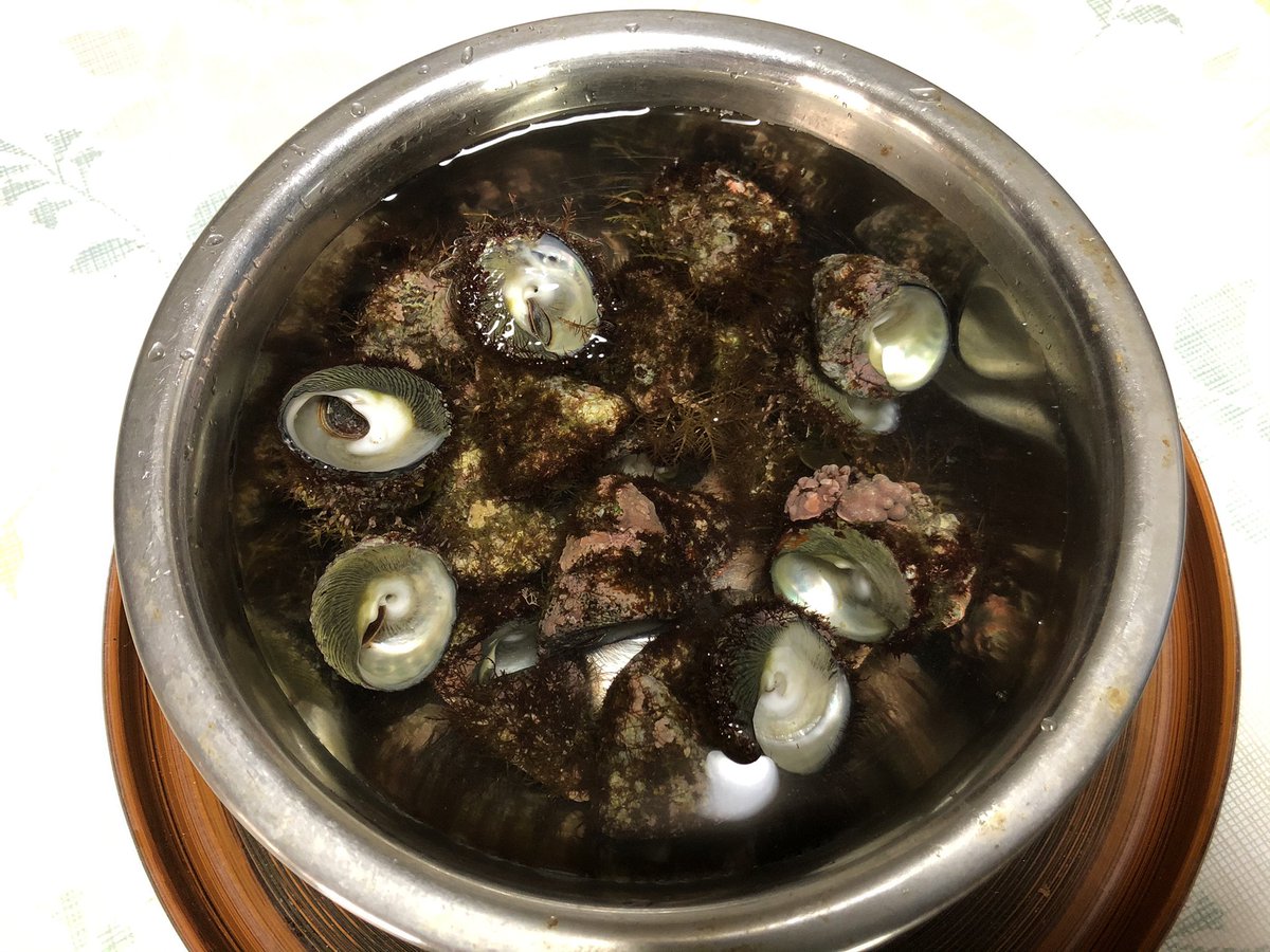 ガンガラ