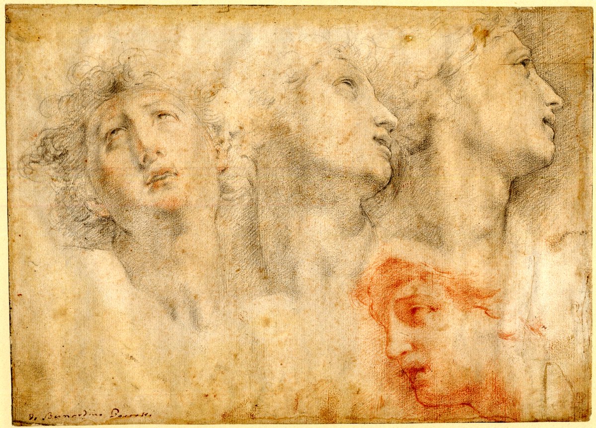 Mario_Colleoni's tweet photo. Aligeremos el día con unos dibujos de Bernardino Poccetti, que la belleza nunca sobra. 💝 https://t.co/OT48E3xQyb