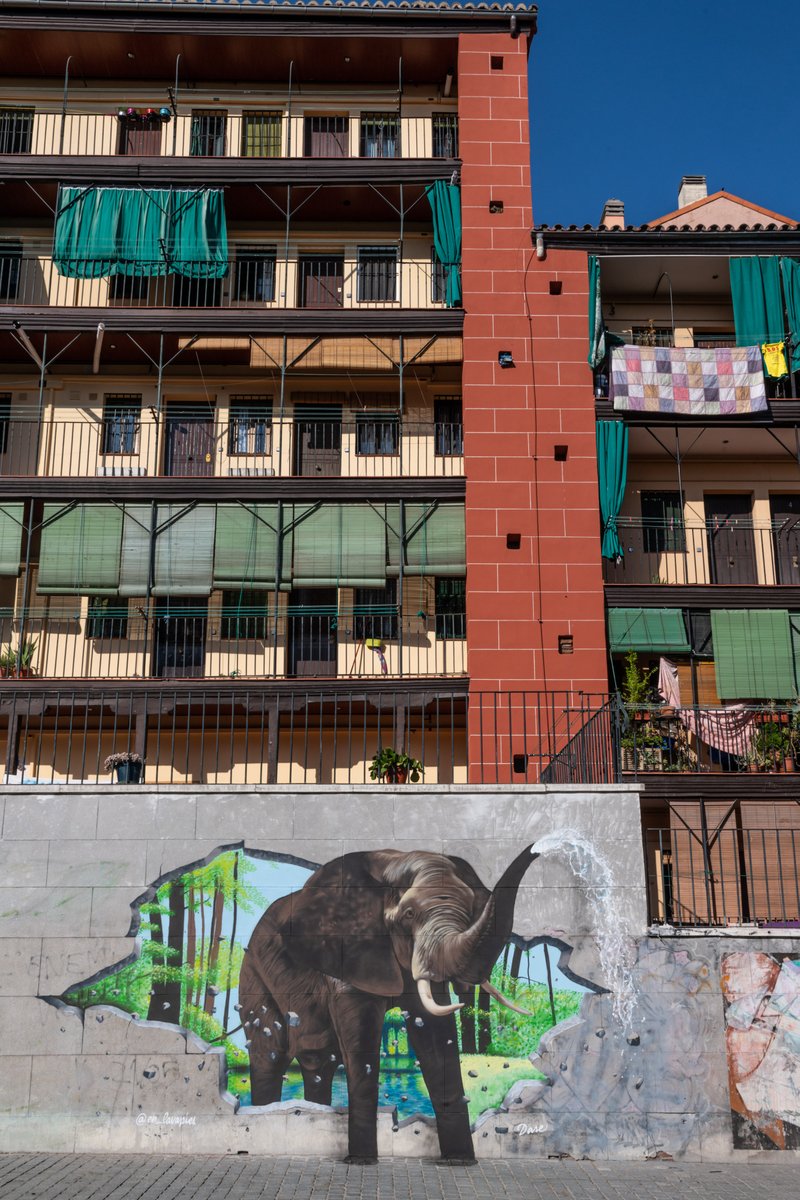 M_C_D_Moda's tweet photo. 🌴🐘 ¿Un elefante en Lavapiés? 🐘🌴 ¡Claro que sí! 
Todo es posible en Madrid, sobre todo gracias a los grandes artistas urbanos que con su trabajo embellecen nuestras calles como ha hecho @dase_es con el apoyo de @en_lavapies y MCDM.

Te espera en la calle del Sombrerete nº4. https://t.co/EhPKuoC2wc