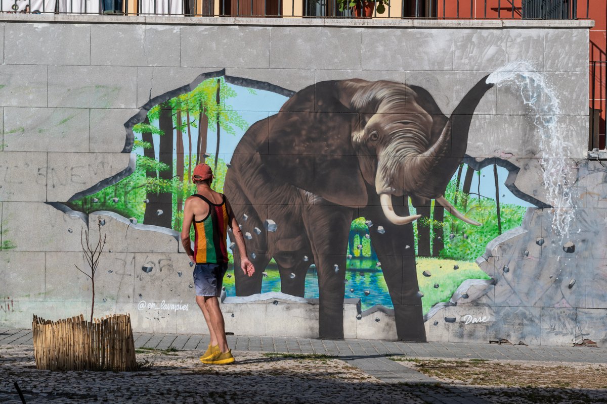 🌴🐘 ¿Un elefante en Lavapiés? 🐘🌴 ¡Claro que sí! 
Todo es posible en Madrid, sobre todo gracias a los grandes artistas urbanos que con su trabajo embellecen nuestras calles como ha hecho <a href="/dase_es/">Dase</a> con el apoyo de <a href="/en_lavapies/">En Lavapies</a> y MCDM.

Te espera en la calle del Sombrerete nº4.