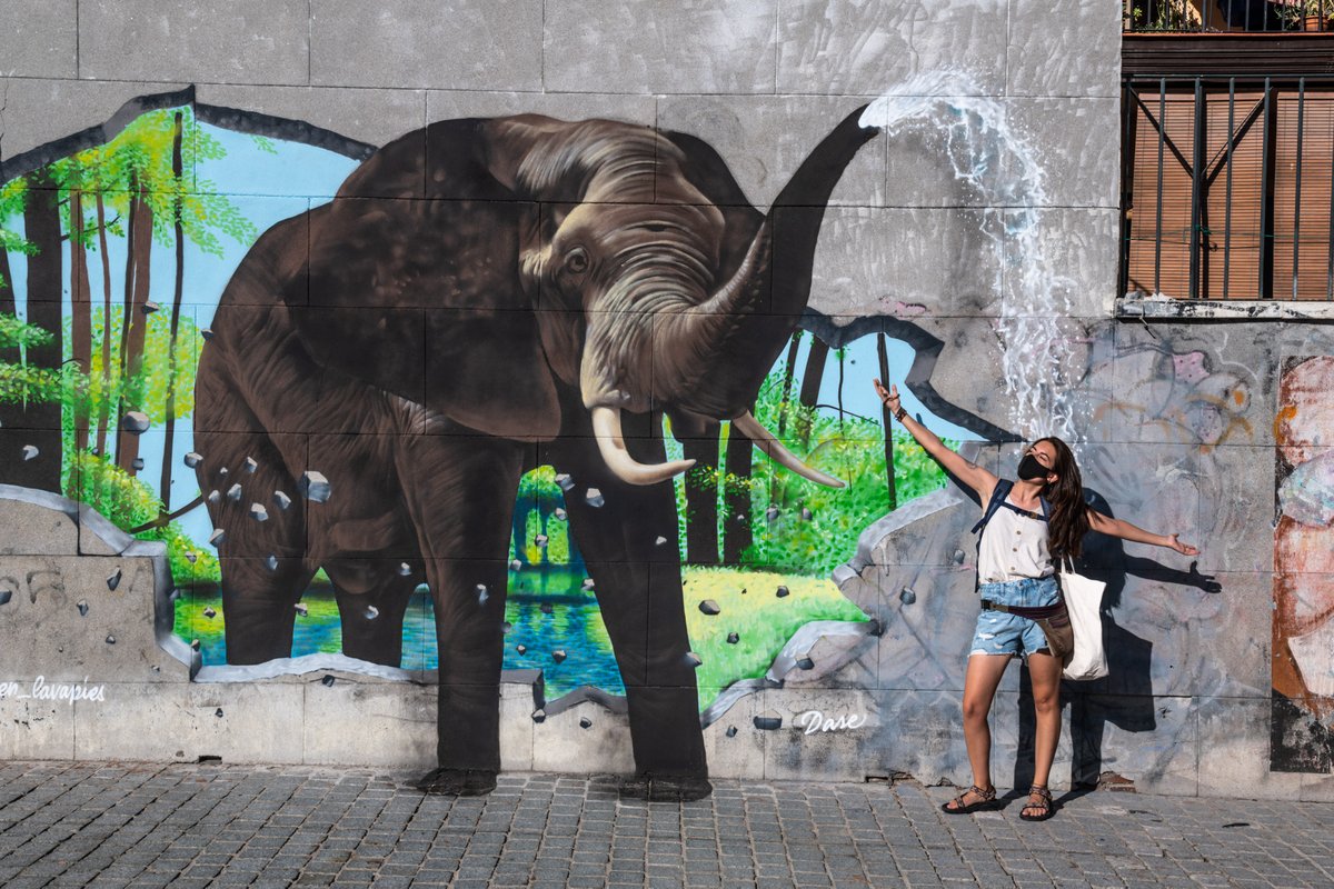 M_C_D_Moda's tweet photo. 🌴🐘 ¿Un elefante en Lavapiés? 🐘🌴 ¡Claro que sí! 
Todo es posible en Madrid, sobre todo gracias a los grandes artistas urbanos que con su trabajo embellecen nuestras calles como ha hecho @dase_es con el apoyo de @en_lavapies y MCDM.

Te espera en la calle del Sombrerete nº4. https://t.co/EhPKuoC2wc