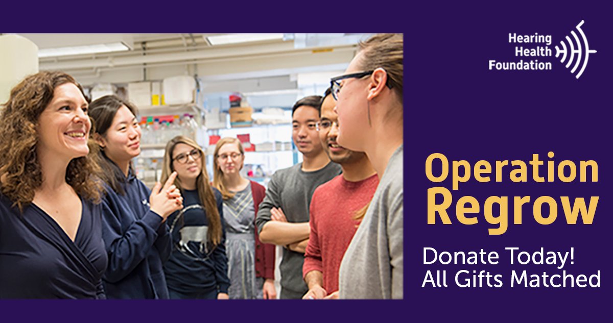 HearingHealthFn's tweet photo. The matching period for #OperationRegrow is quickly winding down. Get your gift in before June 22 to make sure it's counted for the match! https://t.co/dGgIyurY6u https://t.co/IsqtoQuj4q