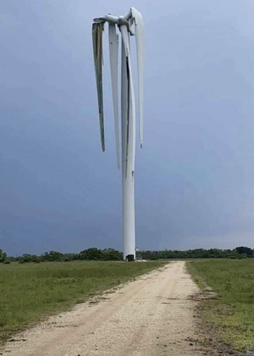 elias nilsson tweet media