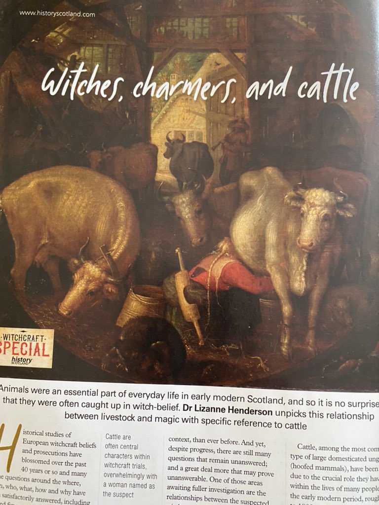 Check out my article in @HistoryScotland on #witches and #cattle plus other great stories by @witchdrdye @nicole_maceira @MikkiBrock @Allan_D_Kennedy Julian Goodare #twitterstorians #hextag #has #animalstudies @UofGlasgow @DumfriesCampus