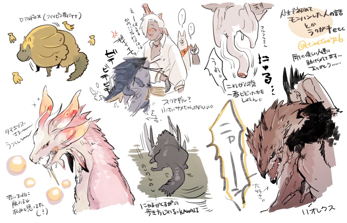 最近始めたばかりのモンヘァンのまとめを簡単に描いてみました。
すごく楽しいです、強くなるぞ…💪 