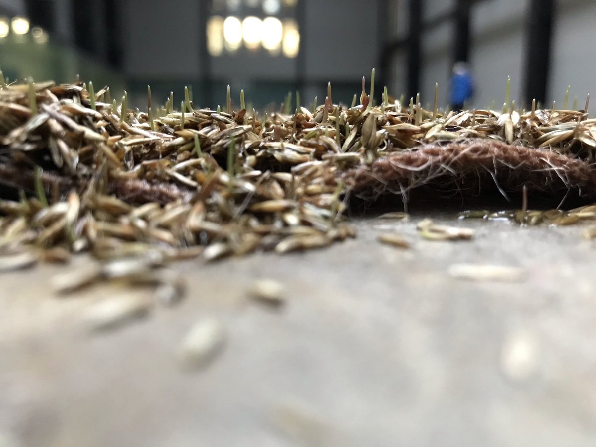 <a href="/ackroyd_harvey/">Ackroyd & Harvey</a> @ackroydheather <a href="/Tate/">Tate</a> <a href="/benokri/">Ben Okri</a> @DanHarv24257564 It’s happening ...