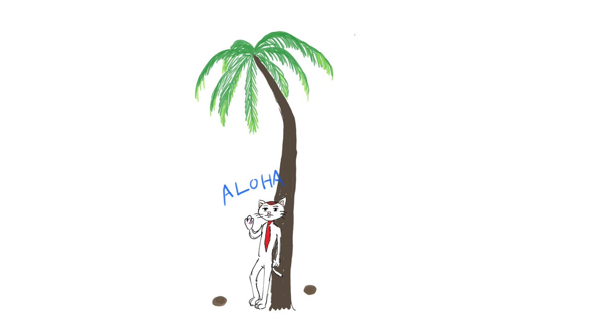 tree palm tree solo no humans white background cat simple background  illustration images