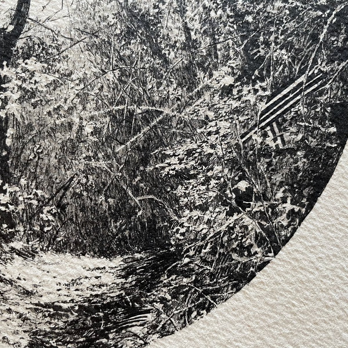 FujikoRose's tweet photo. A fresh woodland for you this morning. I also wanted to announce that I’ll be at The Other Art Fair on the 1st-4th July, it’s at Coal Drops, King’s Cross, you can grab 50% off tickets from the 2-4th with code ARTIST50 https://t.co/a3qVn8iuio