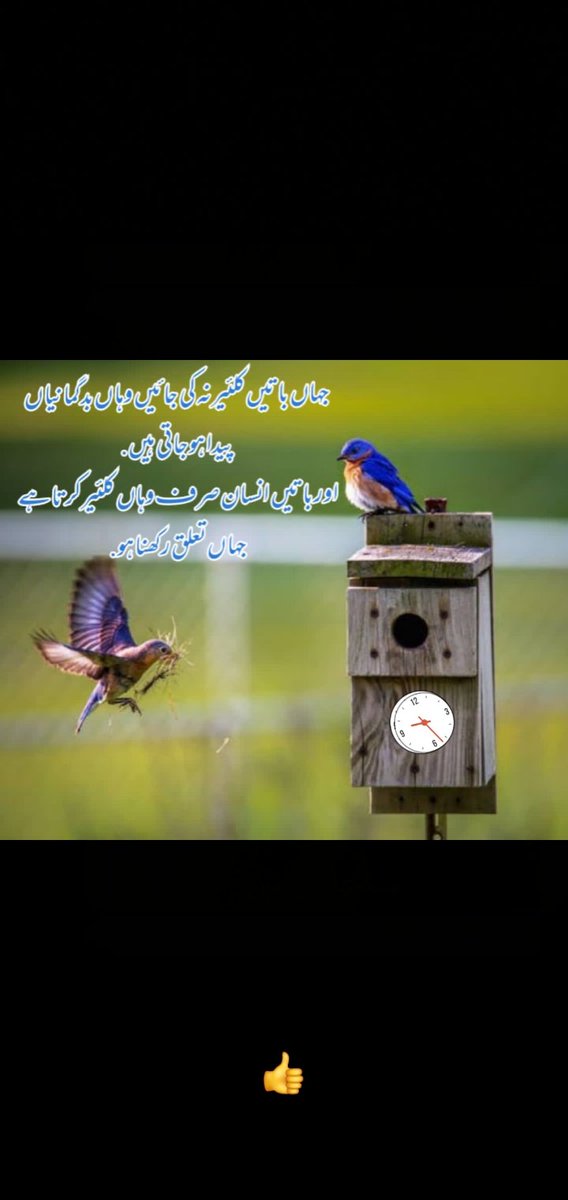 RShshzaib's tweet photo. https://t.co/NCZgIxYcIy