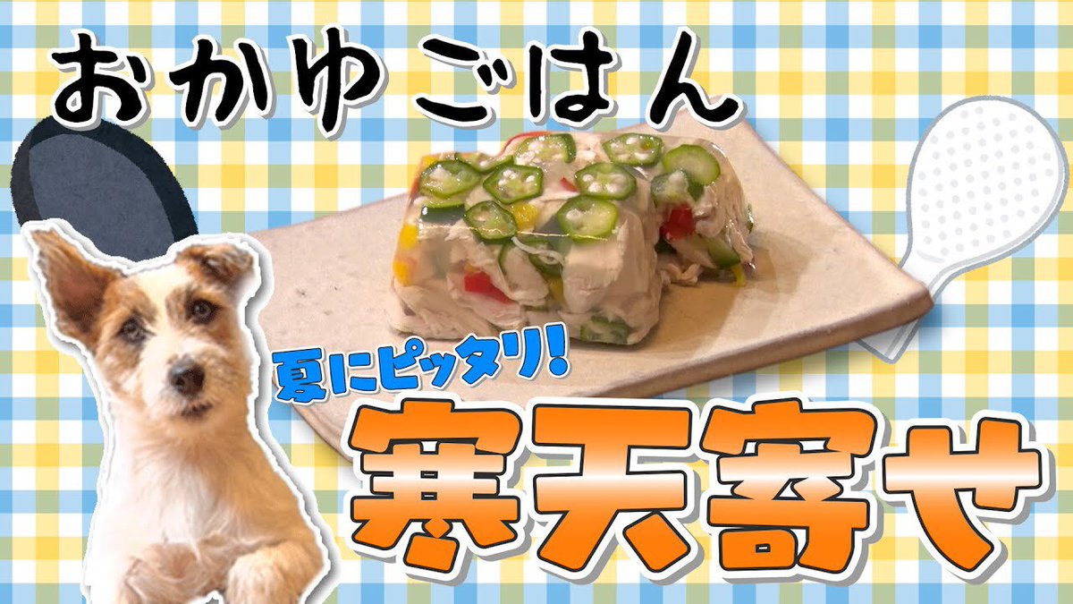 おーき Youtuber 本日の動画はこちら 超簡単 夏にピッタリ手作り犬ごはん 寒天寄せ T Co Okwk4thblr Youtube 夏にピッタリ 手作りフード 寒天 犬好きさんと繋がりたい おかゆ