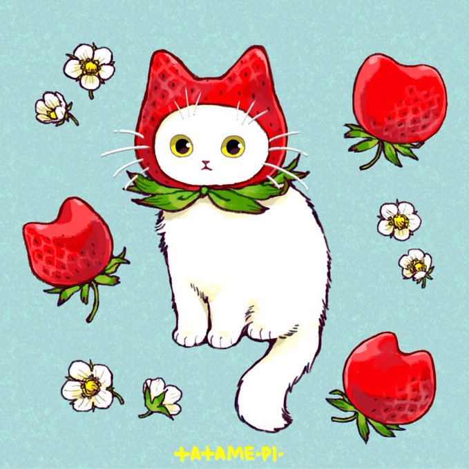 「食べ物 白い猫」のTwitter画像/イラスト(人気順)