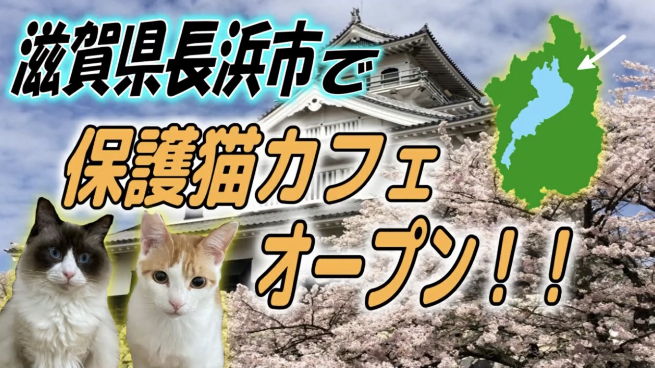 Den6mix Rt Nyansch Aqua お知らせ 来年 滋賀県長浜市にて保護猫カフェをオープンします お知らせ 保護猫カフェをオープンします 滋賀県長浜市 T Co Byookezejw T Co Kfzh9lgklc Twitter Den6mix Rt Nyansch Aqua お知らせ 来年 滋賀県長浜市にて保護猫カフェをオープンします お知らせ 保護猫カフェをオープンします 滋賀県長浜市 T Co Byookezejw T Co Kfzh9lgklc Twitter