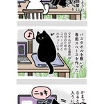 癒されながら作業を進められそう!在宅ワークと猫のお話!