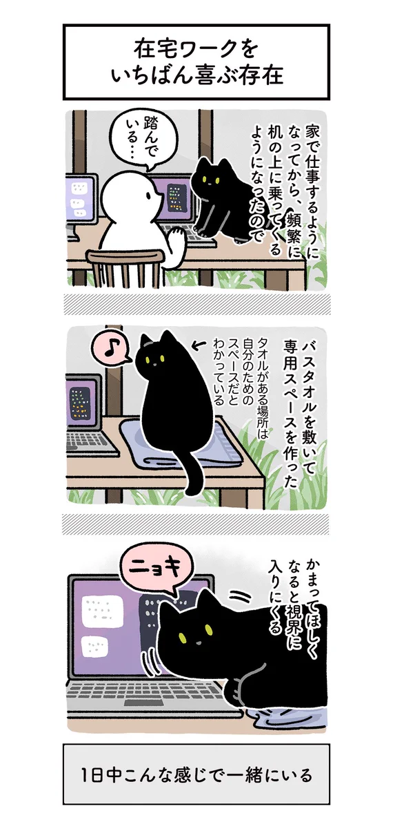 癒されながら作業を進められそう！在宅ワークと猫のお話！
