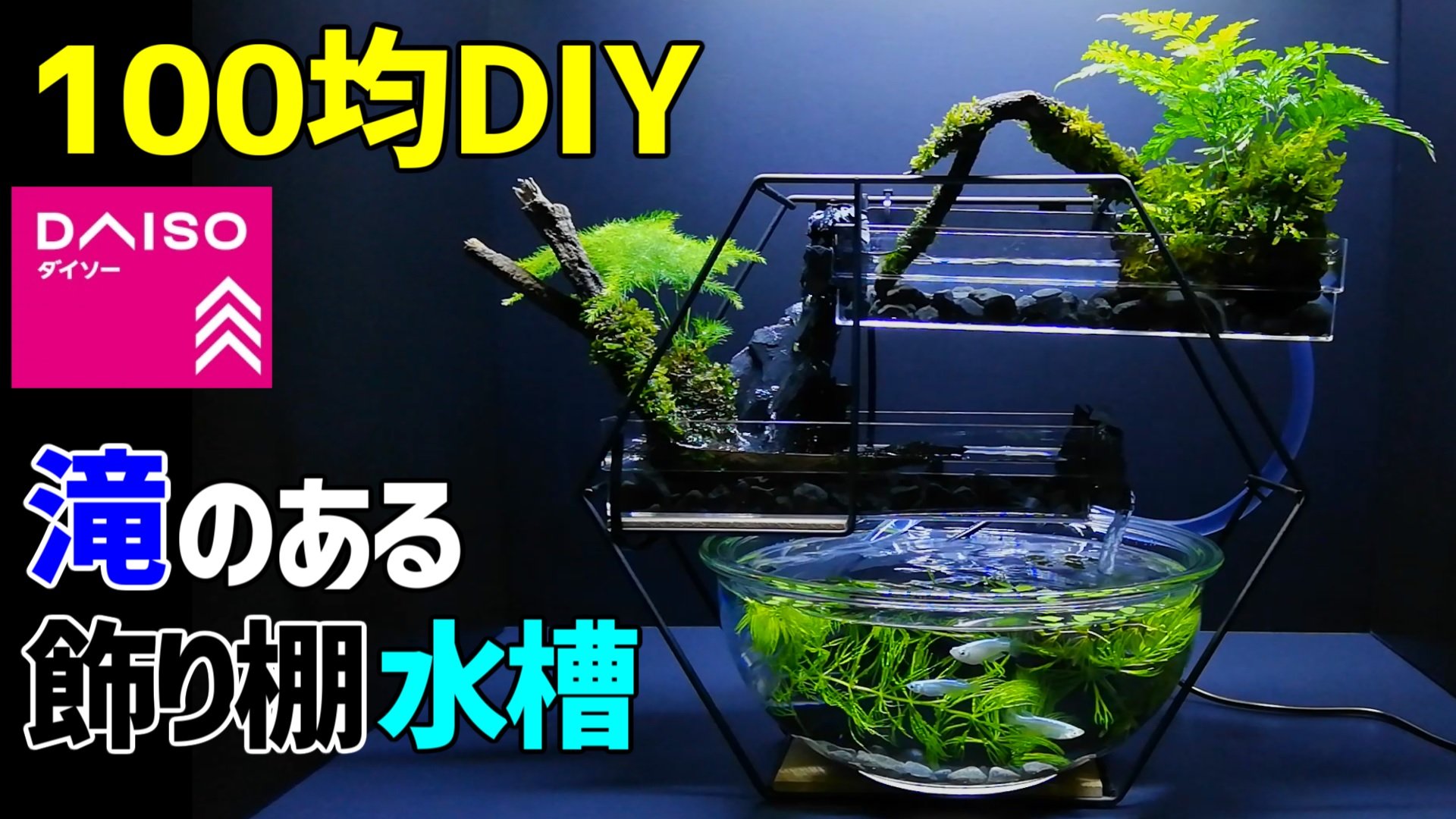 こっさんch 100均diy ダイソーアイテムで 滝のある メダカの飾り棚 水槽 を作りました せせらぎの音を聞きながら メダカを眺めると癒やされます ぜひご覧ください T Co Q7gsepegzv T Co F5uovggwfq Twitter