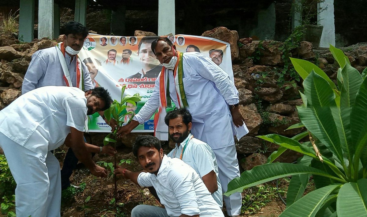 tallurivijaykum's tweet photo. We are happy to celebrate our upcoming #PMOIndia
#RahulGandhiBirthday . And oath for secure of Natural Environment and democracy atmosphere. At #SouthIndia #EastCoast #Vishaka #Payakaraopeta Tree plantation by #IYC nd #ShaktiProject cadre https://t.co/4NUf6rL5M1
