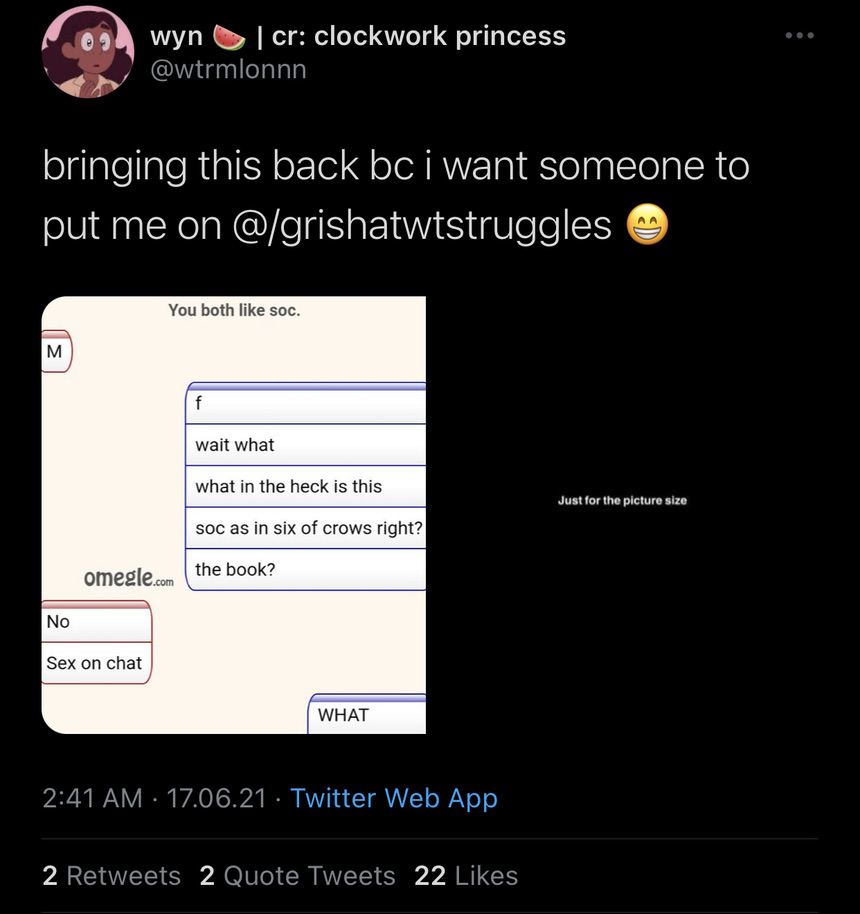 grishaverse struggle tweets™ tweet media