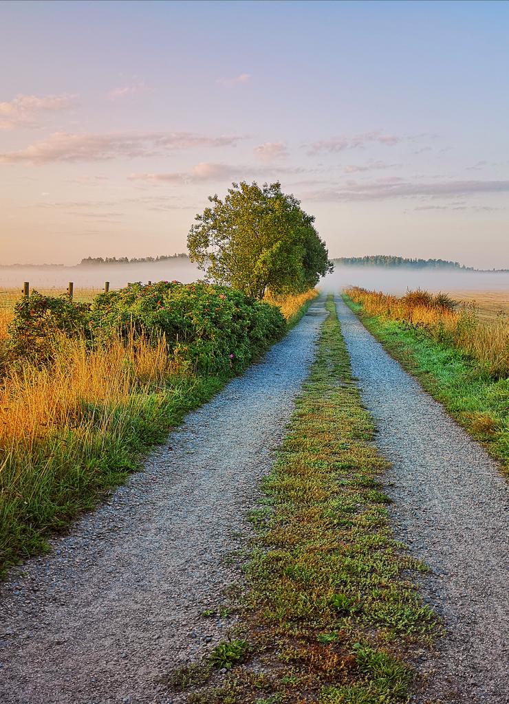 Laku_Lance's tweet image. A Morning bike ride #helsinki #Finland #photography #StormHour #travel #Photograph #weather #nature #Sunrise #morning #clouds #cycling #cyclinglife #landscape #SaturdayMotivation #weekend #Borisbrejcha #fserious