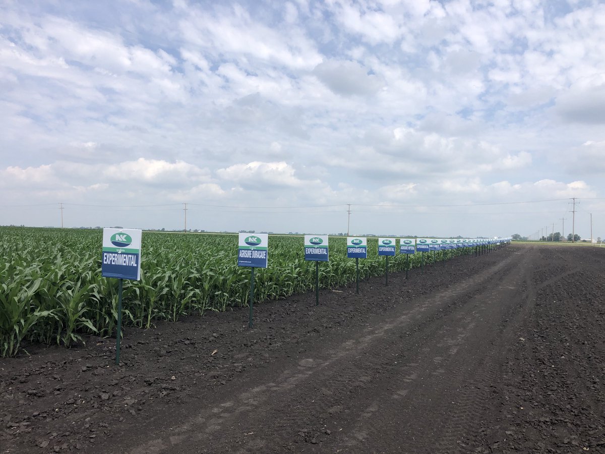 Big  crowd at the GROWMARK ⁦<a href="/NKSeeds/">NK Seeds</a>⁩ “Young Guns” training at the Syngenta Farm of the Future. Thanks o the Northern Illinois Member Companies for participating.