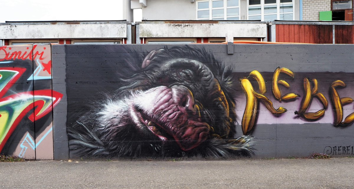 ChKnife's tweet photo. https://t.co/PuI6Evq7UW #fotografie #photo #photography #photos #schweiz #photographer #fotograf #switzerland #foto #fotos #picture #suisse #swissphotgrapher #streetphotography #olympus #sreet #affe #baselland #graffiti #tags #kunst #art #monkey #olympus https://t.co/t2ZxMvlzLe