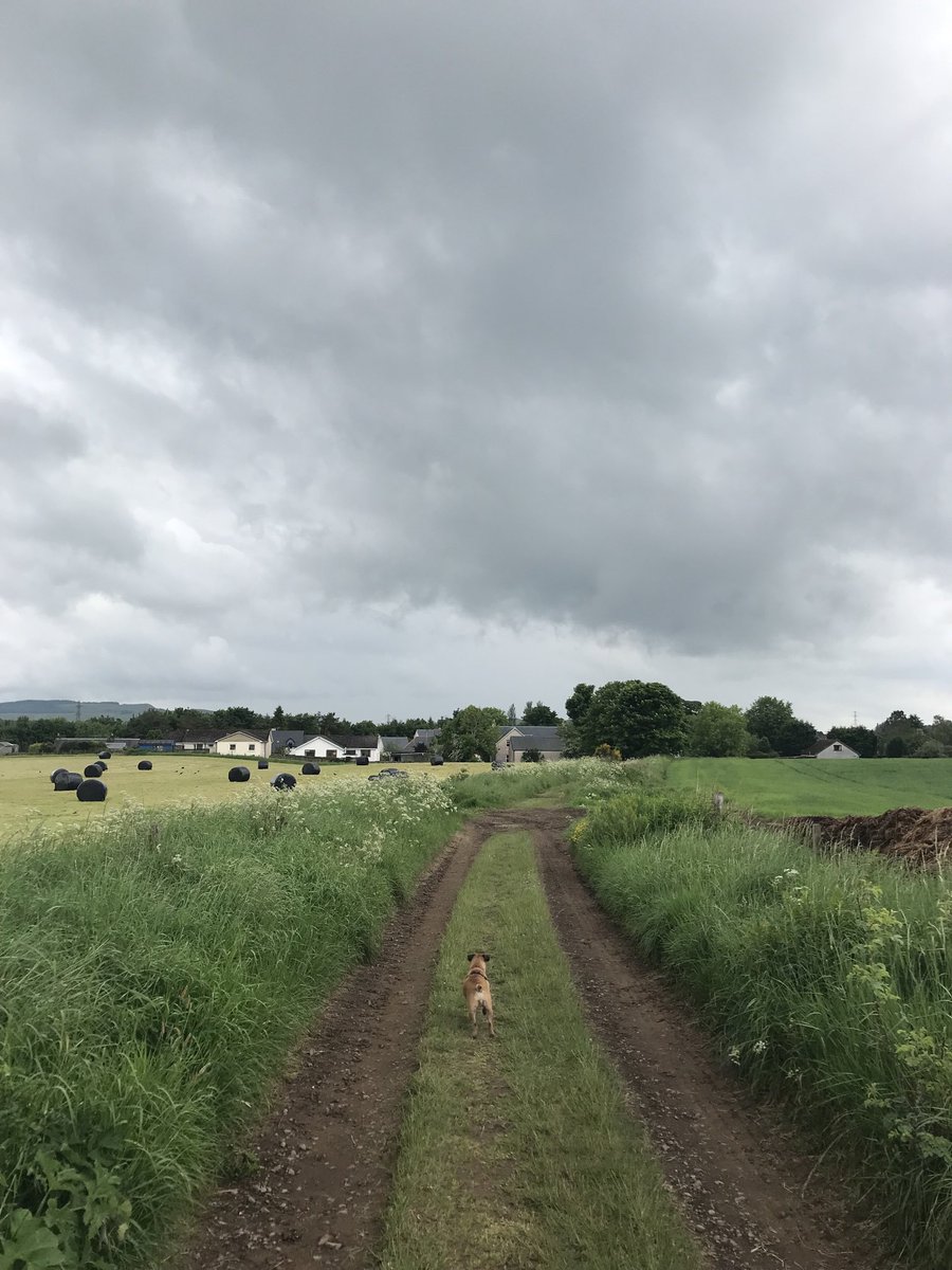 GillianMStuart's tweet photo. #puttingthingsinperspective https://t.co/nCGqLK6n1G