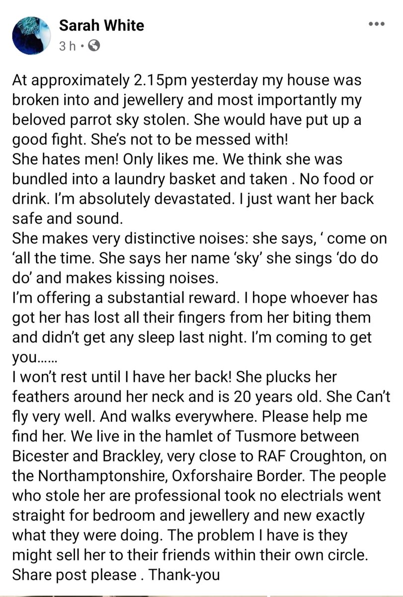 lisaphipps15's tweet photo. Female Parrot SKY #STOLEN during house burglary taken not escaped #Tunsmore #NN13 near Croughton #Bicester #Brackley makes distinctive notices, saying "come on" & makes kidding noises SHE IS 20 YEARS OLD very set in her ways & needs to be returned to her family #stolen #parrot https://t.co/zuh3x6vILC