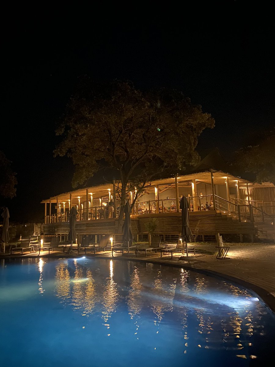 Magic ✨
#magical #trulymdluli #kruger #krugernationalpark #sanparks #outdoor #travel #SouthAfrica #Africa #tourism