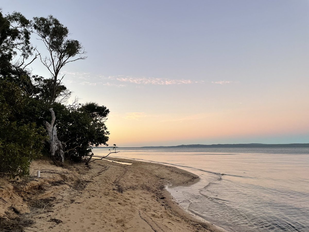 Majella Edwards tweet media