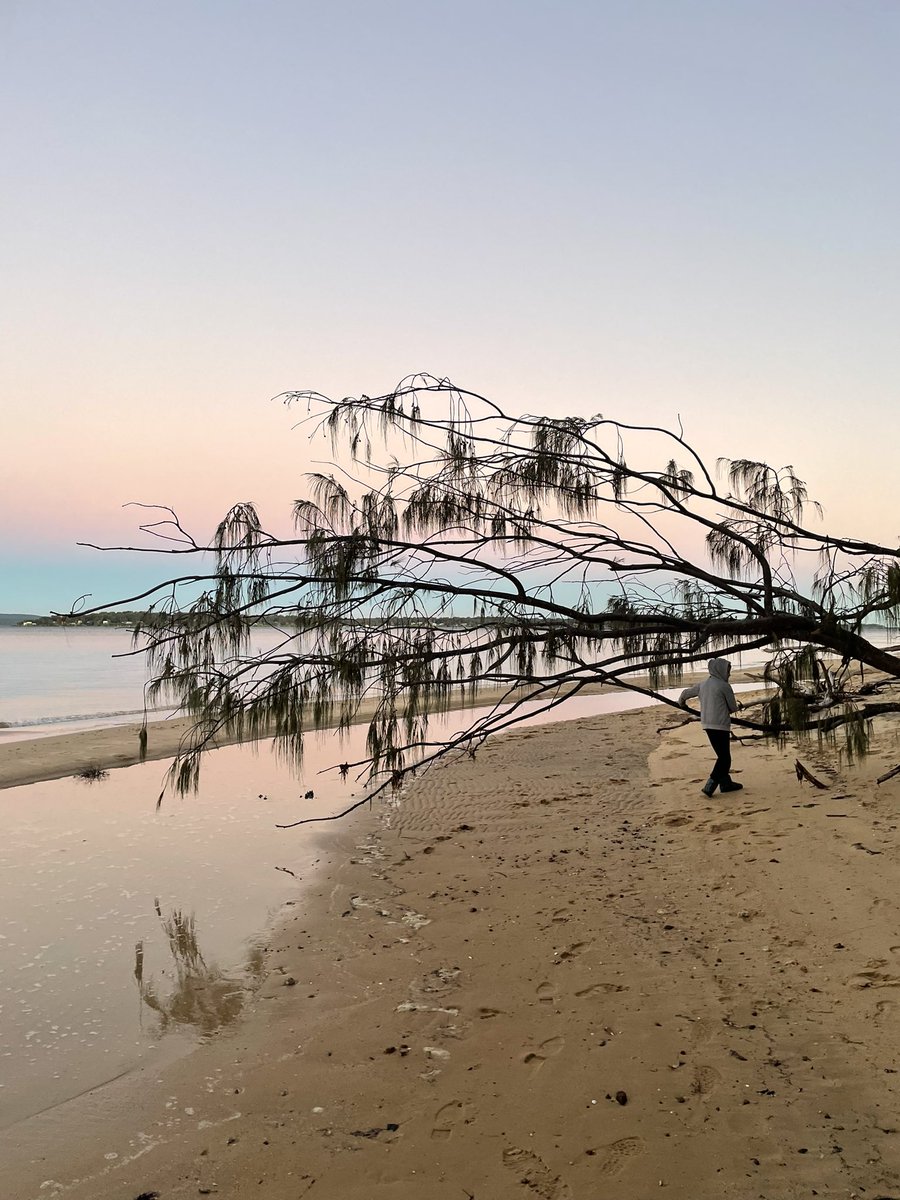 Majella Edwards tweet media