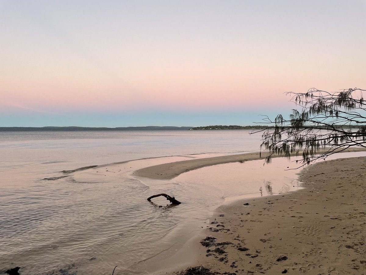 Majella Edwards tweet media