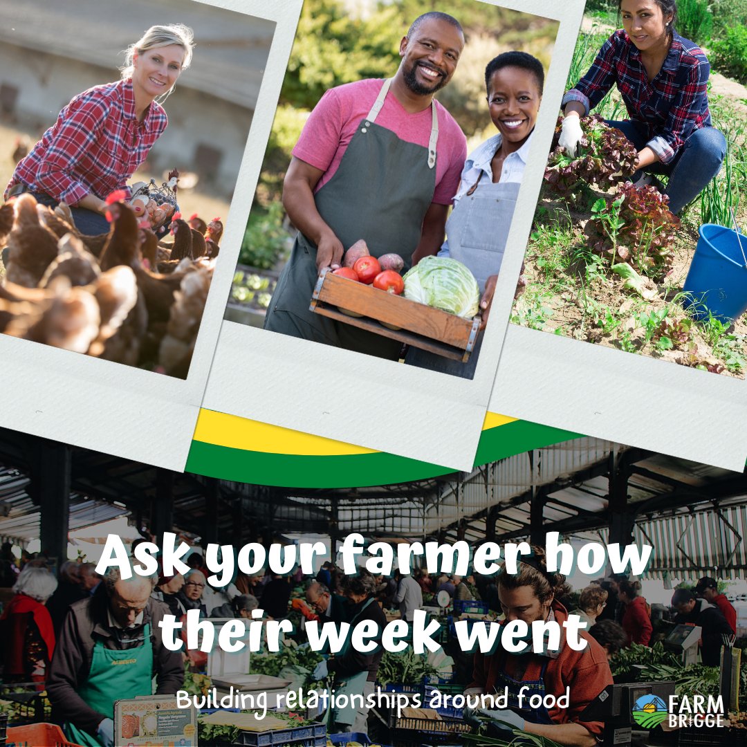 FarmBrigge's tweet photo. Building relationships around food 🤝

When visiting your local farmers market this weekend, ask your farmer how their week went. 🥦🧄🍎

Gain appreciation and gratitude for the efforts that go into the foods that feed us, and our families! 🙏

#farmer #farmersmarket #Health https://t.co/8EiX0bGUH3
