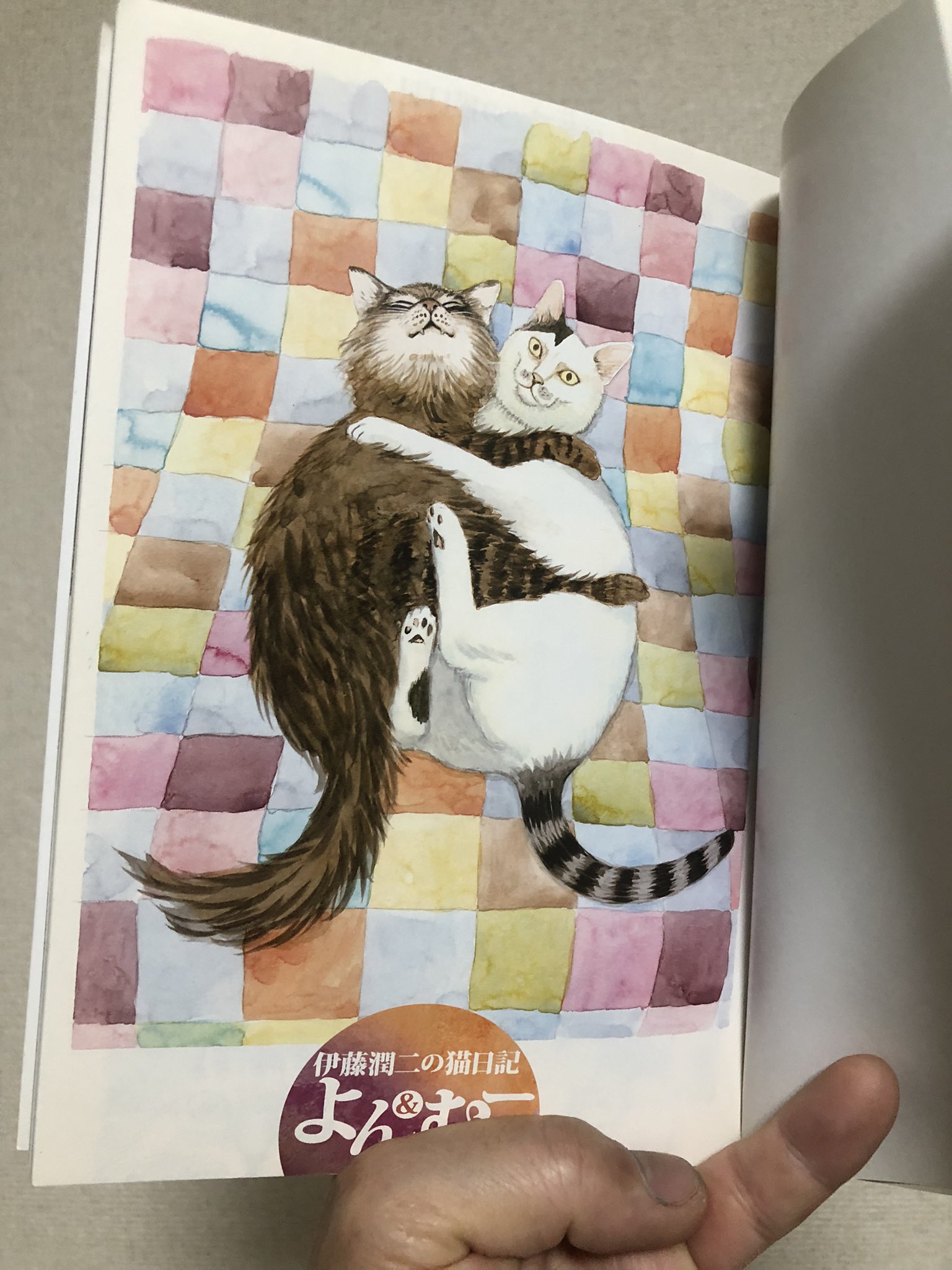 伊藤潤二　よん&むー　サイン本 伊藤潤二 よん&むー サイン本
